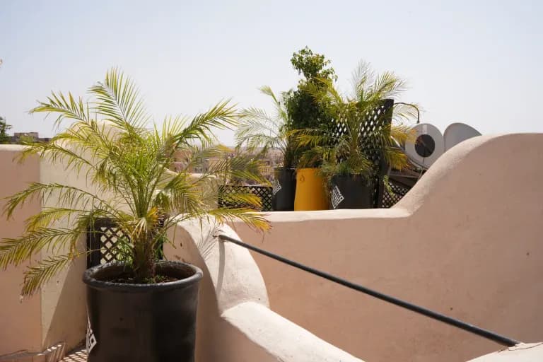 Patio du Maristan Aïcha — riad à Marrakech