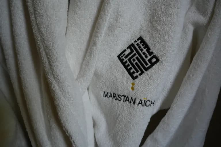 Vue du Maristan Aïcha — palmeraie de Marrakech