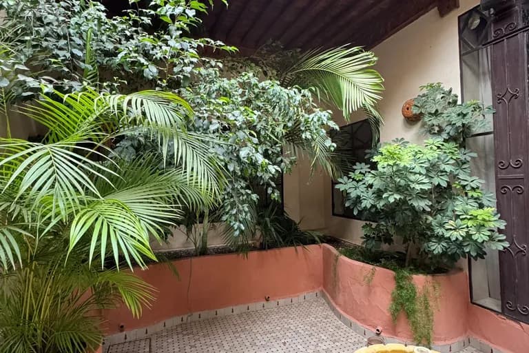 Vue du Maristan Aïcha — palmeraie de Marrakech
