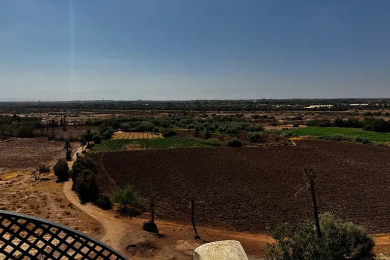 Vue du Maristan Aïcha — palmeraie de Marrakech